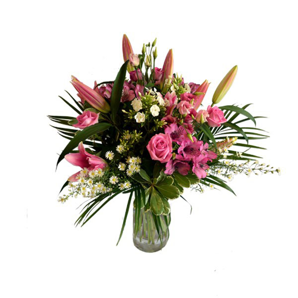 Pink Sensation – Greenes Florists
